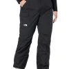Columbia Plus Size Shafer Canyon™ Insulated Pants